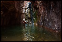 Man rappelling into a pool beside a narrow waterfall in Blacktail Canyon. Grand Canyon National Park, Arizona ( color)