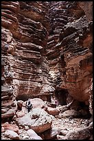 Photographers exploring the Blacktail deep slot canyon with layered red rock walls. Grand Canyon National Park, Arizona ( color)
