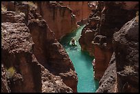 Rafter paddling through the turquoise waters of Havasu Creek. Grand Canyon National Park, Arizona ( color)
