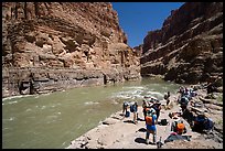 Large group of rafters in life jackets resting along the shoreline of the Colorado River. Grand Canyon National Park, Arizona ( color)
