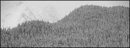 Hill in winter. Canada ( color)