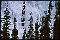 Weeping wall. Canada (color)