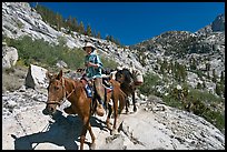 Man driving a pack of horses on trail, lower Dusy Basin. Kings Canyon National Park, California ( color)