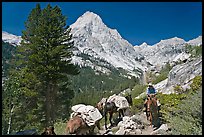 Man riding horse and Langille Peak, Le Conte Canyon. Kings Canyon National Park, California (color)