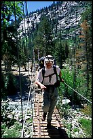 Wood Creek suspension creek, Kings Canyon National Park. California ( color)