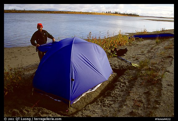 Camper setting up tent on a sand bar along the Kobuk River. Kobuk Valley National Park, Alaska (color)