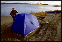 Camper setting up tent on a sand bar along the Kobuk River. Kobuk Valley National Park, Alaska ( color)