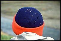 Hat covered with mosquitoes. Lake Clark National Park, Alaska ( color)