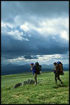 Backpackers seen from the side in the tundra. Lake Clark National Park, Alaska ( color)