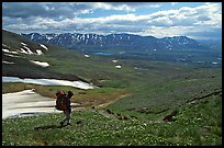 Backpackers walking down on a carpet of alpine flowers towards Twin Lakes. Lake Clark National Park, Alaska (color)