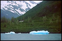 Icebergs in Portage Lake, at sea level. Alaska (color)