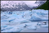 Icebergs in Portage Lake. Alaska ( color)