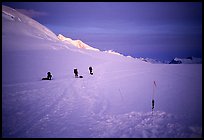 Traveling down with sleds. Denali, Alaska (color)