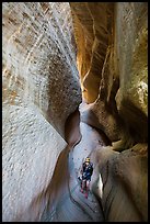 Canyonneer using rope to descend into narrows, Mystery Canyon. Zion National Park ( color)