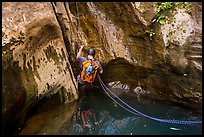 Canyoneer rappels into pool of water, Mystery Canyon. Zion National Park, Utah ( color)