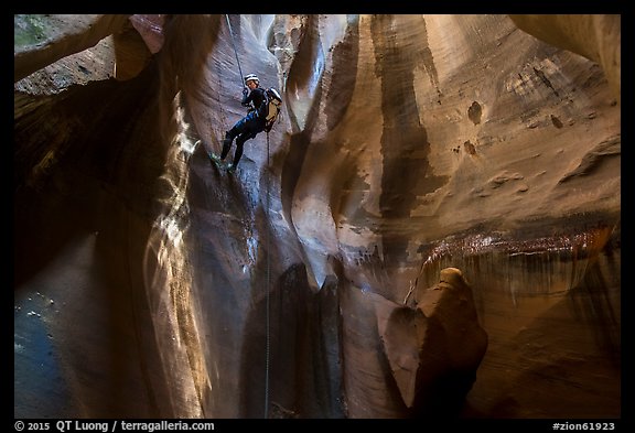 Woman rappels into chamber known as The Cathedral, Pine Creek Canyon. Zion National Park, Utah