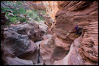 Canyoneers rappels in open section of Pine Creek Canyon. Zion National Park, Utah ( color)