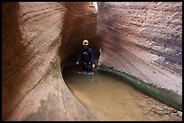 Hiker walks in water in Keyhole Canyon. Zion National Park, Utah ( color)