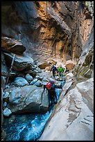 Canyoneers descend Orderville Canyon. Zion National Park, Utah ( color)