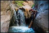 Hiker downclimbs on log along waterfall, Orderville Canyon. Zion National Park, Utah ( color)