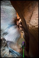 Descending using ropes into the depths of Keyhole Canyon. Zion National Park, Utah ( color)