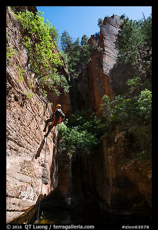 Canyoneer rappels in open section of Upper Left Fork. Zion National Park (color)