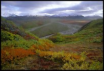 Tundra, braided rivers, Alaska Range at Polychrome Pass. Denali National Park, Alaska, USA.