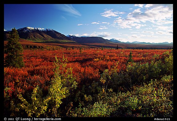 Alaska Range and tundra from near Savage River. Denali National Park, Alaska, USA.