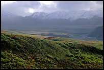 Tundra and Alaska Range near Sable pass. Denali National Park ( color)