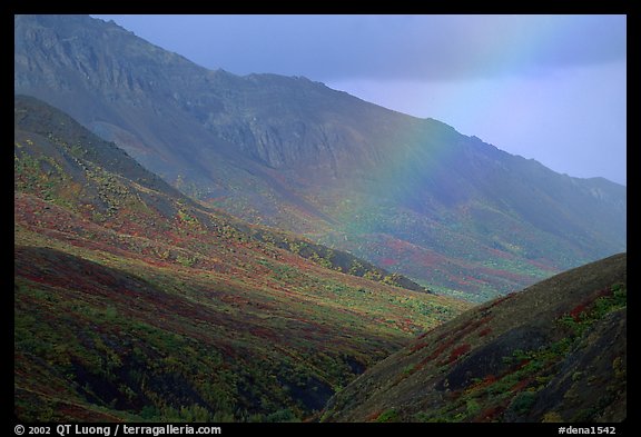 Rainbow and mountains near Sable Pass. Denali National Park (color)