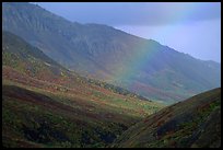 Rainbow and mountains near Sable Pass. Denali National Park ( color)