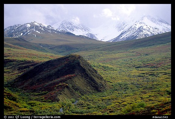 Hills and mountains near Sable Pass. Denali National Park, Alaska, USA.