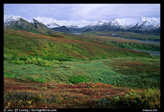 Tundra and Alaska Range near Eielson. Denali National Park, Alaska, USA.