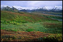 Tundra and Alaska Range near Eielson. Denali National Park ( color)