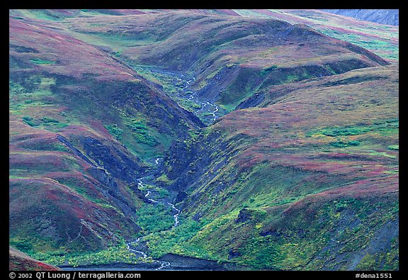 River cut in tundra foothills near Eielson. Denali National Park (color)