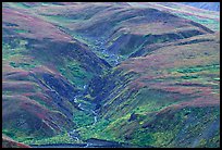 River cut in tundra foothills near Eielson. Denali National Park ( color)
