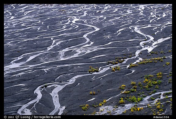 Braids of the Mc Kinley River near Eielson. Denali National Park (color)