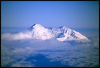 Mt Mc Kinley emerges from a sea of clouds. Denali National Park, Alaska, USA.