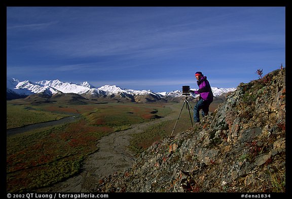 Photographer at Polychrome Pass. Denali National Park (color)
