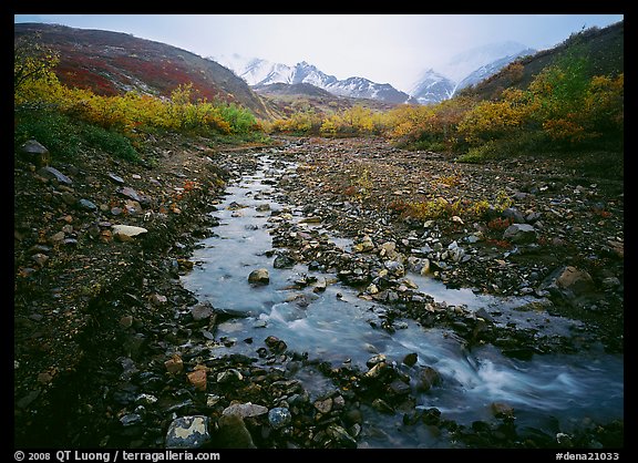 Creek near Polychrome Pass. Denali National Park (color)