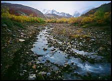 Creek near Polychrome Pass. Denali National Park ( color)