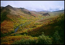 Gentle valley and river with low vegetation. Denali National Park, Alaska, USA. (color)