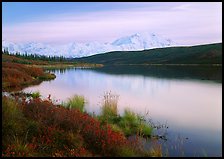 Wonder Lake and Mt McKinley at dusk. Denali  National Park ( color)