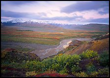 Tundra and braided rivers from Polychrome Pass, afternoon. Denali National Park, Alaska, USA.