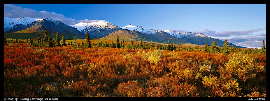 Tundra landscape. Denali National Park (color)