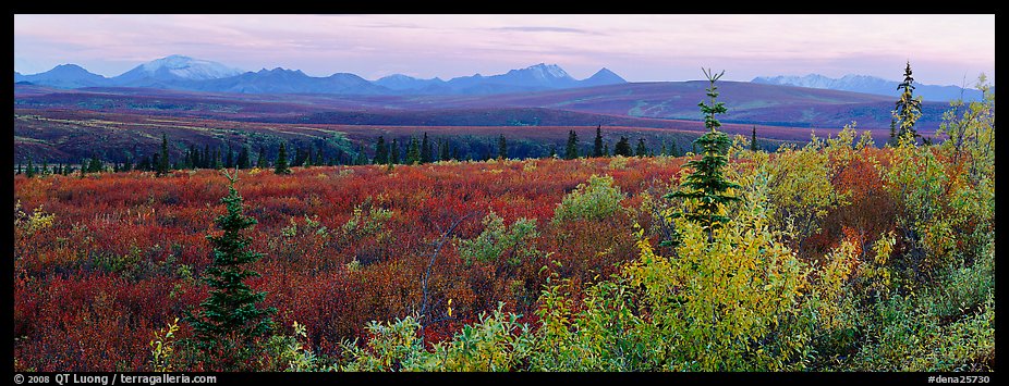 Tundra and Alaska range in autumn. Denali  National Park (color)