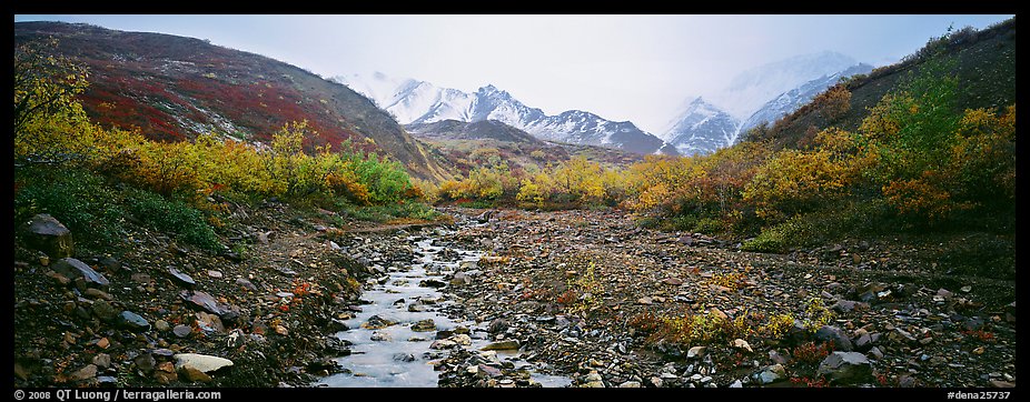 Rocky creek, trees, and snowy mountains in autumn. Denali National Park (color)