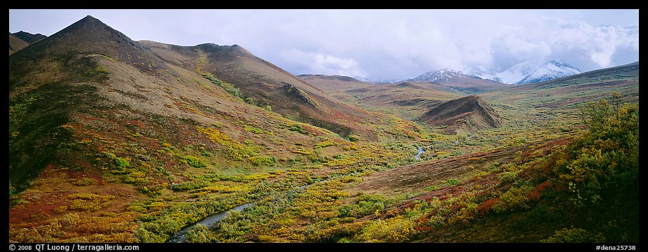 Tundra-covered foothills and valley. Denali National Park (color)