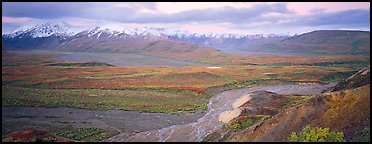Wide mountain valley with braided river. Denali  National Park (Panoramic color)