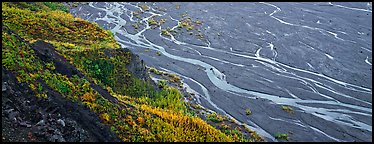 Wide braided river and aspens in autumn. Denali  National Park (Panoramic color)